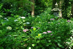 120615���ҵܥ�������