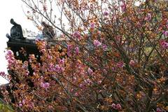 100411�ܳл��䥨������