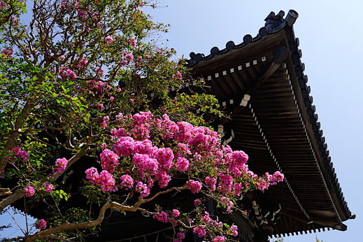 200825�ܳл����륹�٥�2