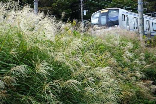 131010���ܲ���������