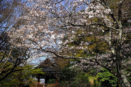 190325̯�ܻ����ᥤ�襷��2