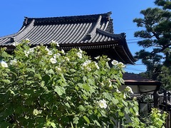 231006�ܳл��ե襦