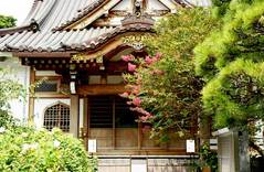 ̯δ�����륹�٥�