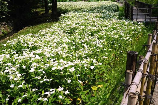 140702�����������ϥ󥲥��祦