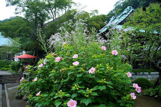 150927��¢�������󡢥ե襦