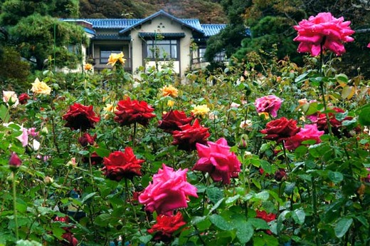 111022ʸ�شۥХ�2