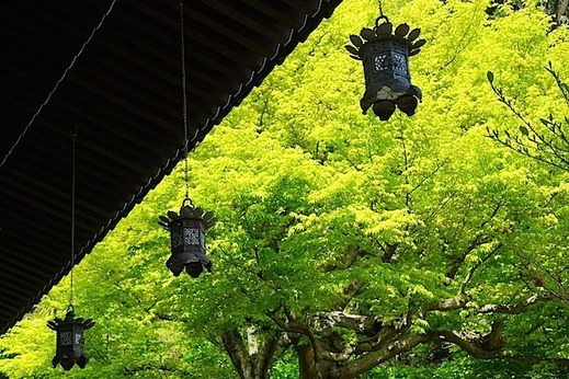 150416Ĺë������2