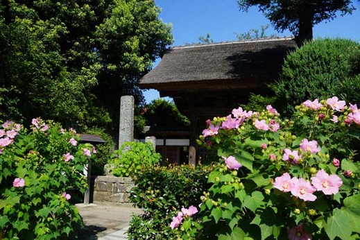 130807�˳ڻ��ե襦