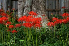 130923ȬȨ�ܥҥ���Х�2