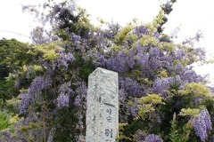 110505ÊÌ´ê»û¥Õ¥¸