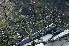 190207Åì·Ä»û¥¦¥á2