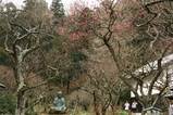060219東慶寺