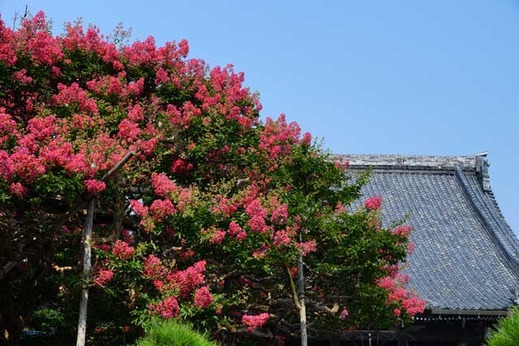 130812�ܳл����륹�٥�1