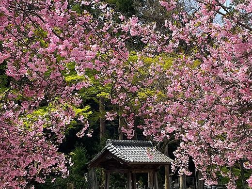 220407̯�ܻ������ɥ�3