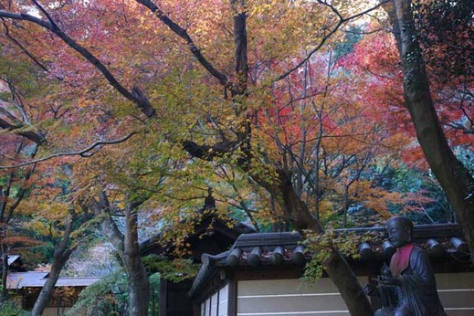 111224����������2