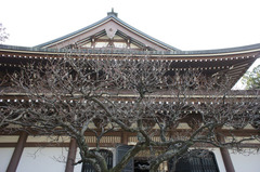 120118�߳л���