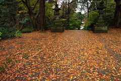 161214̯�ܻ�����2