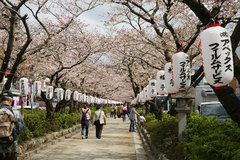100403Ãʳ륵¥¯¥é