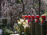 050321常立寺六地蔵