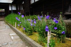 120715��¢�������祦