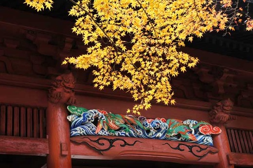 121203̯�ܻ�����4