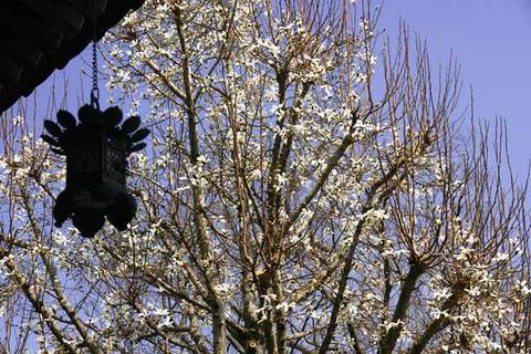 090318Ĺë�����֥�