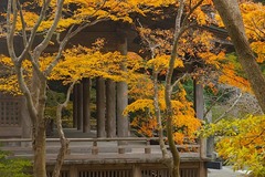 141224̯�ܻ�����3