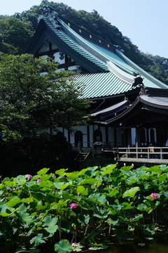 180715�������ϥ�1