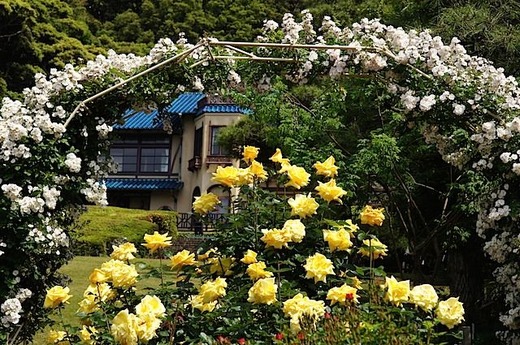 150517����ʸ�شۥХ�3