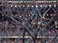 120211�߳л�����