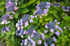 170618�繪����������1