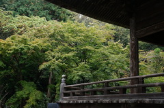 151118̯�ܻ�����2