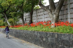 111001ȬȨ�ܥҥ���Х�3