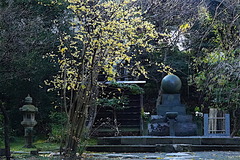 160114���һ������Х�1