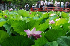 110723��ʿ�ӥϥ�