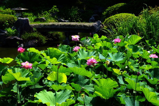 170712�������ϥ�2