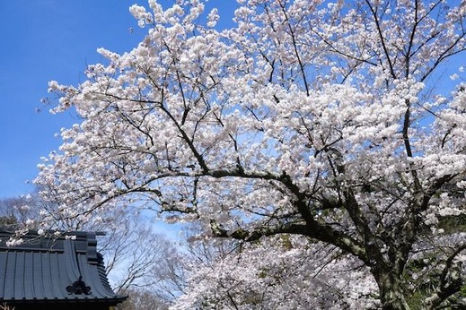 150329̯�ܻ������飳