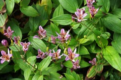 111109��¢����饵��������