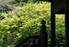 110420̯�ܻ�����3