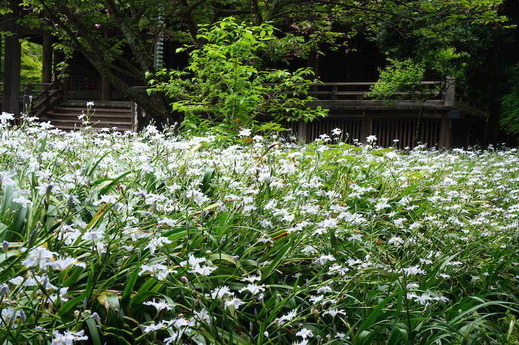 160427̯�ܻ����㥬2