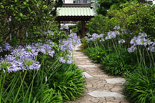 200629�繪�������ѥ󥵥�1