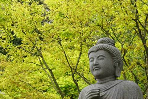 100414Ĺë������