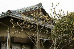 100303���ʻ��⥯���