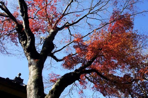 101222����������1