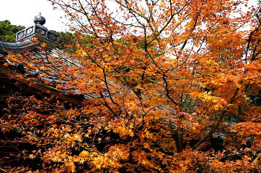 161219����������3