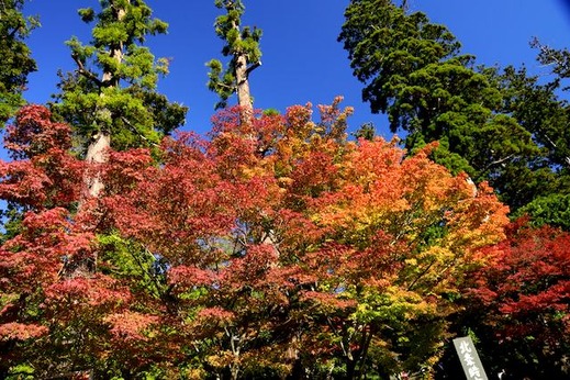 141119�߳л�����1