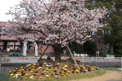 170220�ե����󥿡������