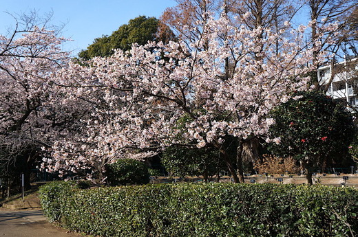 170226�ե����󥿡������1