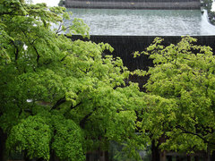 100428�߳л����У�