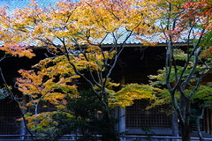 161202̯�ܻ�����2